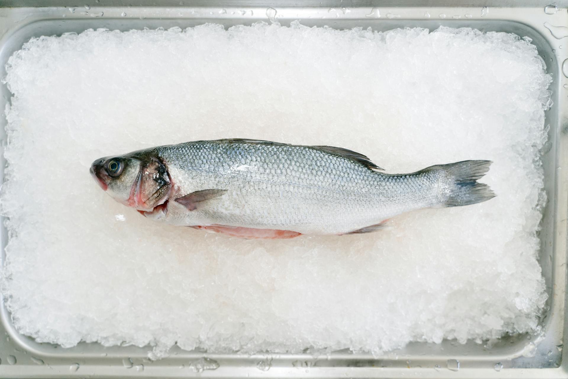 Branzino al sale, bar entier en croûte de sel