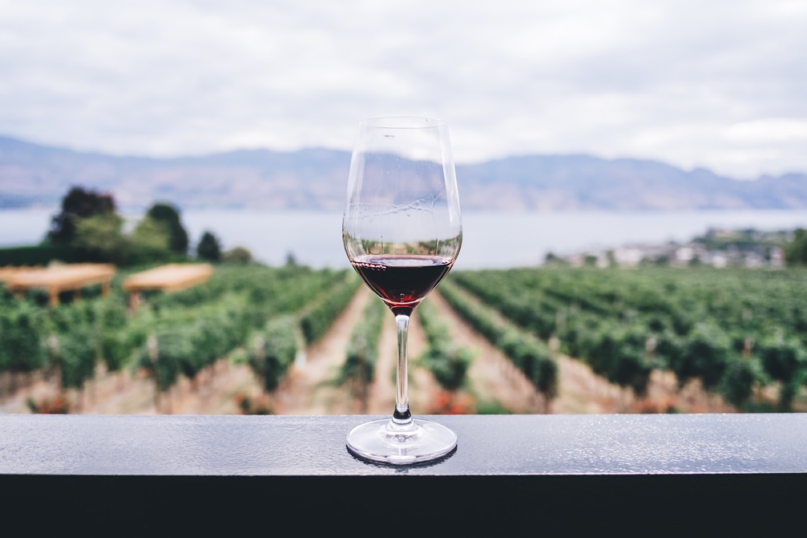 Cave à vins italiens du restaurant Maonas
